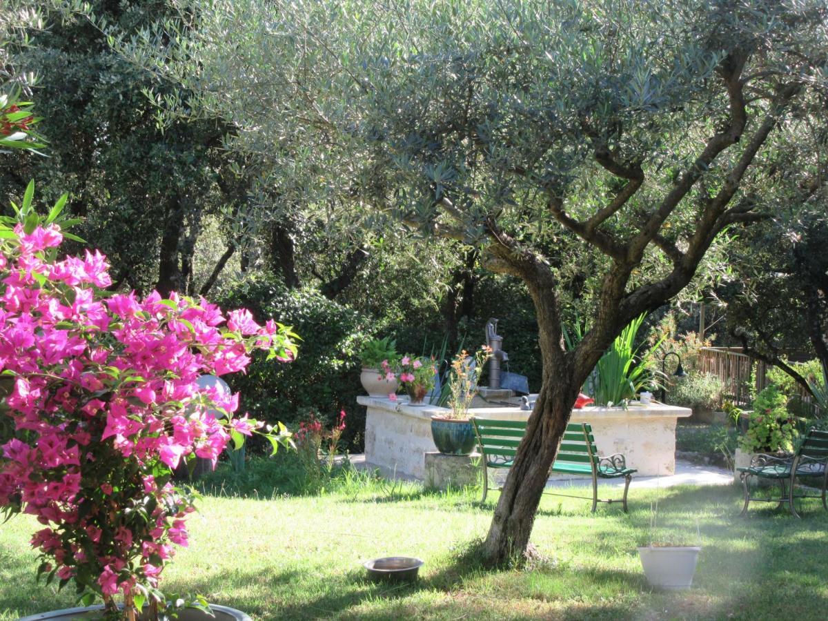 Domaine Du Bois Gite Bleuette Galargues Eksteriør billede